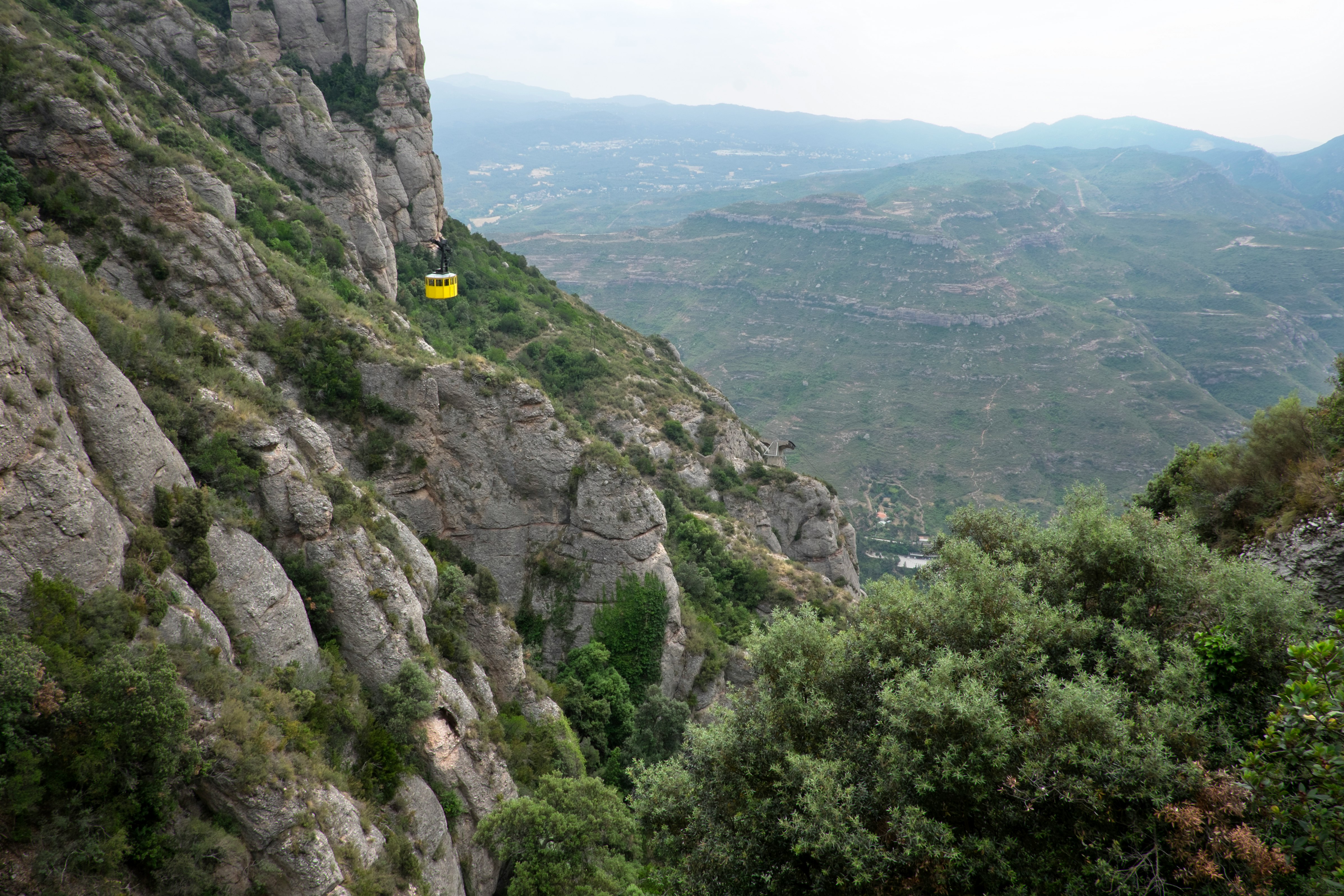 photo of green leafed trees within mountain range during daytime